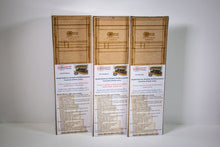 Load image into Gallery viewer, HO Scale - 4 storey, 2 opening, concrete, brick & window modular panel